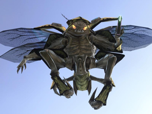 Image 38